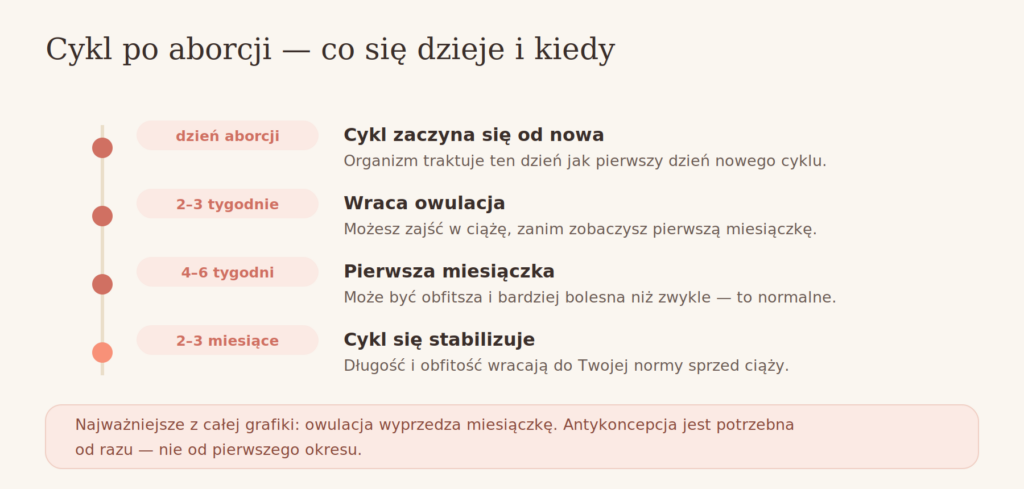 Kiedy wraca miesiączka po aborcji — oś czasu od owulacji do stabilizacji cyklu