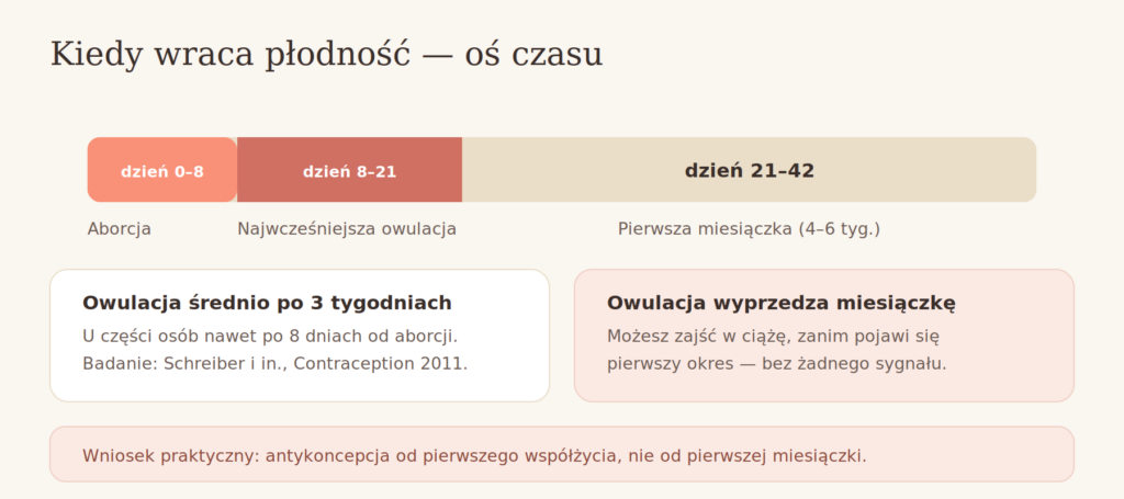 Owulacja po aborcji — oś czasu powrotu płodności