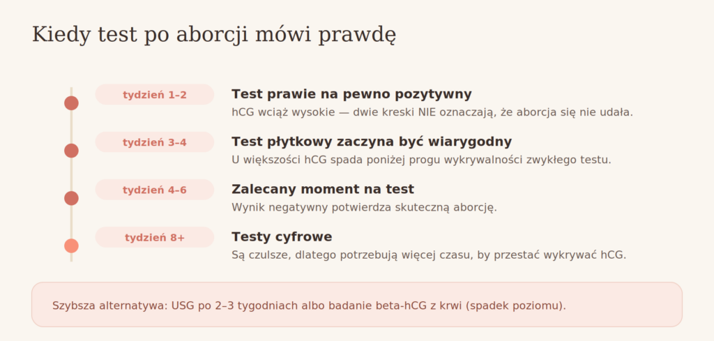 Test ciążowy po aborcji — kiedy wynik jest wiarygodny, oś czasu spadku hCG