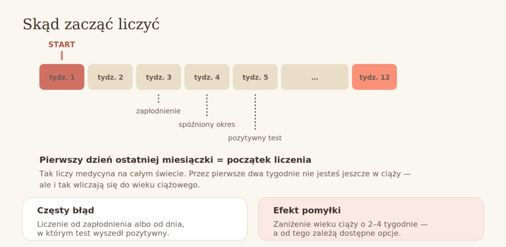 Jak obliczyć tydzień ciąży — schemat liczenia od ostatniej miesiączki